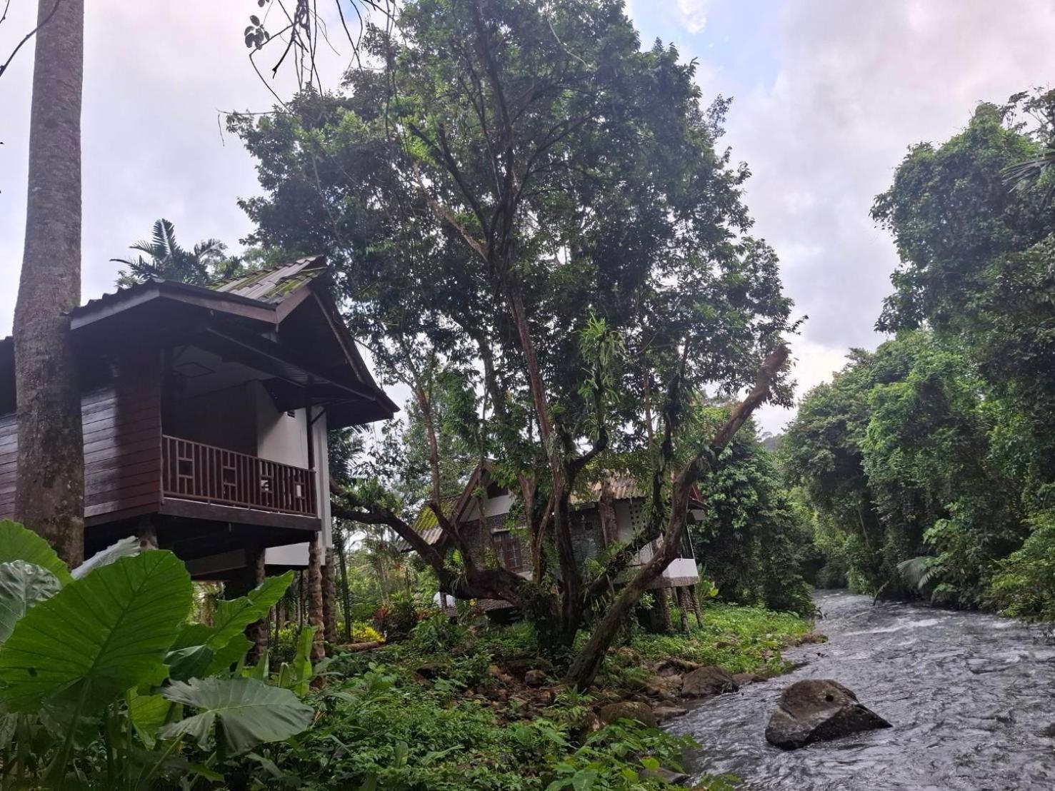 Tree Tops River Huts Khao Sok National Park Dış mekan fotoğraf