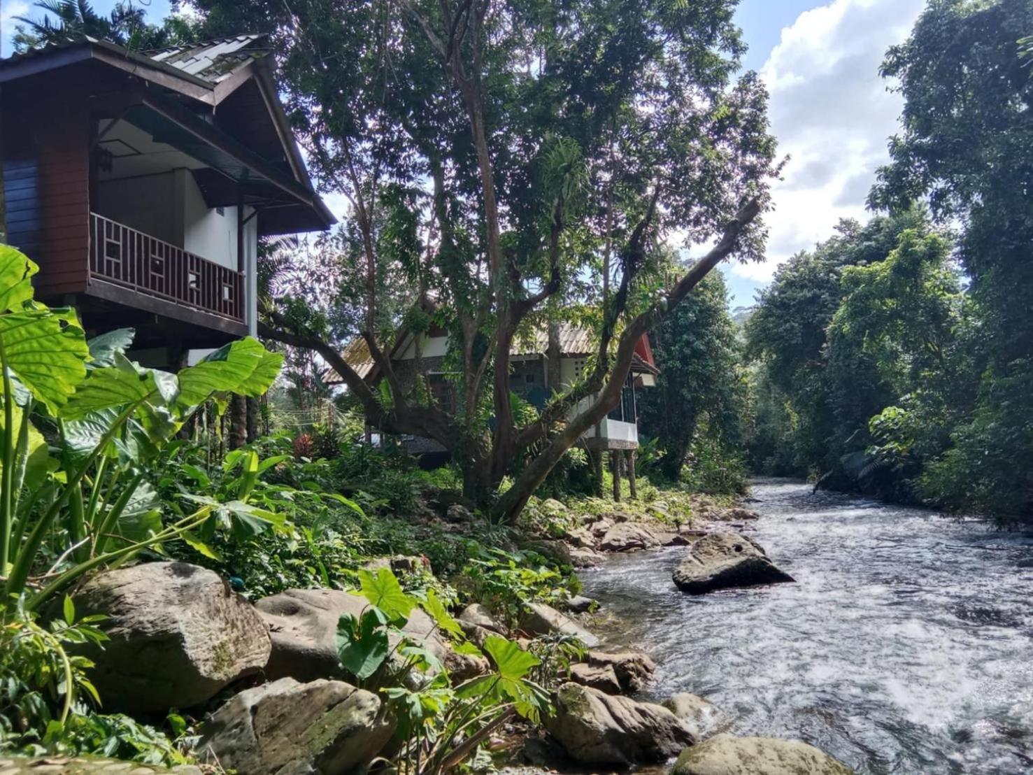 Tree Tops River Huts Khao Sok National Park Dış mekan fotoğraf